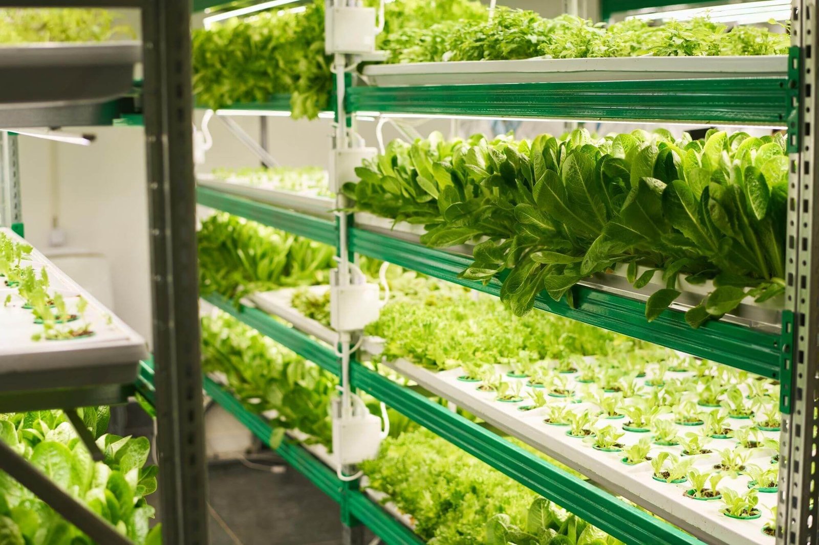 Solution - Agriculture